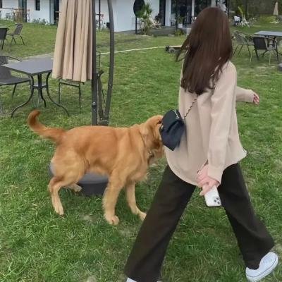 川尻小玉的懒散生活海报